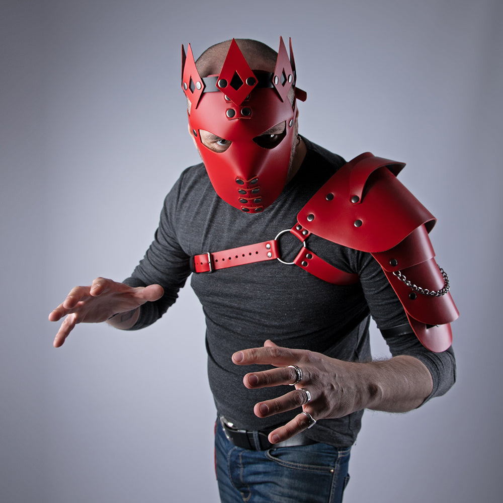 Halloween costume for King