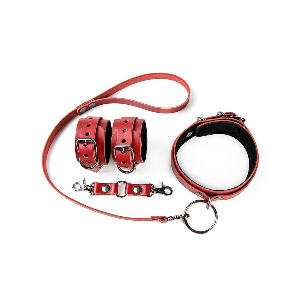 red leather bdsm kit
