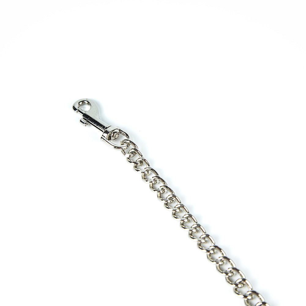 Metal leash