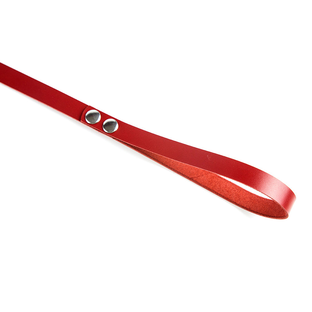 Leather red leash for BDSM and pet play 