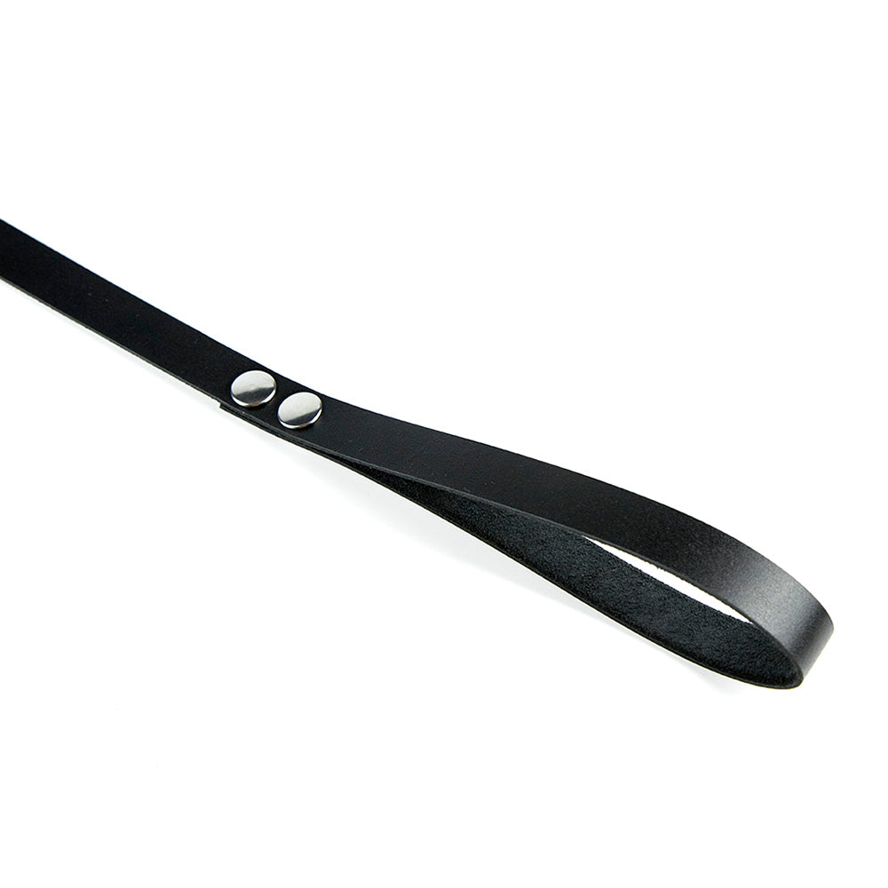 Leather leash for BDSM and pet play