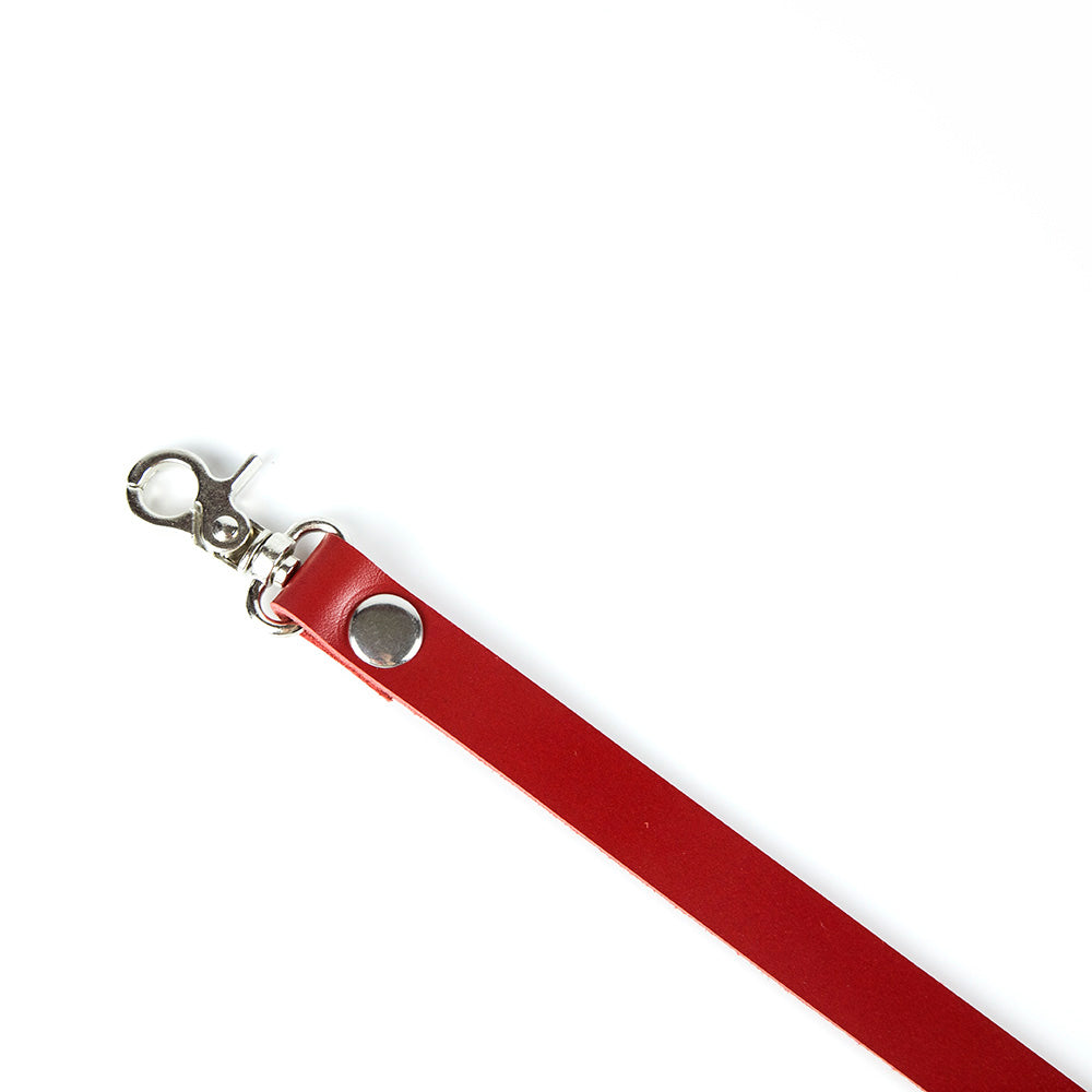 Leather leash for pet play in red